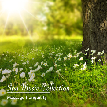 Asian Zen Meditation, Yoga Namaste, Zen - 2018 A Spa Music Collection: Massage Tranquility