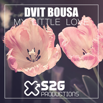 Dvit Bousa - My Little Love