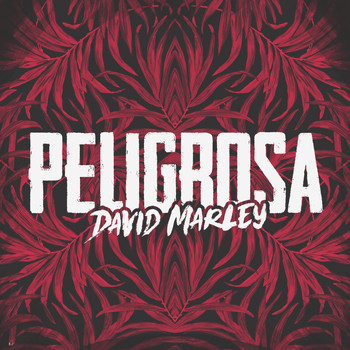 David Marley - Peligrosa