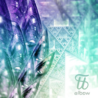Elbow - Shaids