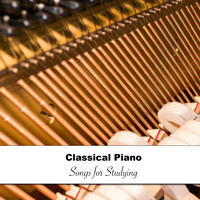 Gentle Piano Music, Piano Masters, Classic Piano - 14 Beautiful Classical Piano Songs for Studying