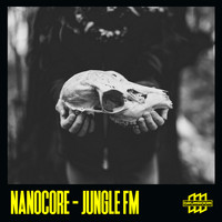 Nanocore - Jungle Fm