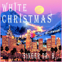 Singer Dr. B... - White Christmas