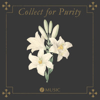Trinity Music - Collect for Purity (feat. Sarah Bryan)