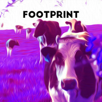 Footprint - Footprint