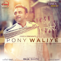 Raja Baath - Pony Waliye - Single
