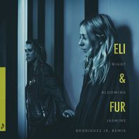 Eli & Fur - Night Blooming Jasmine (Rodriguez Jr. Remix)