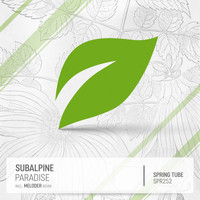 Subalpine - Paradise