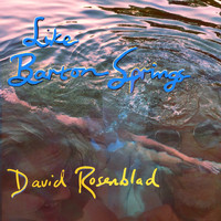 David Rosenblad - Like Barton Springs