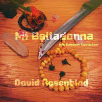 David Rosenblad - Mi Belladonna / Rainbow Connection
