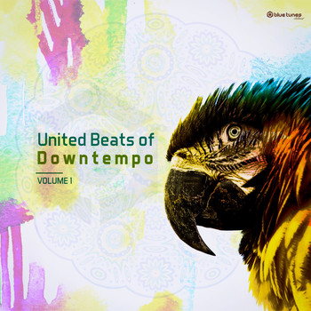 Various Artists - United Beats of Downtempo