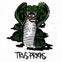 TRVS PRKNS - Saigon Serpent