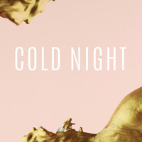 The Last Bison - Cold Night