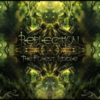 Reflection - THE FOREST RIDDLE