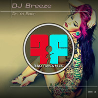 DJ Breeze - On Ya Back