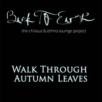 Back to Earth - Walk Through Autumn Leaves