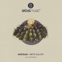 Kintsugi - Metz Kalito