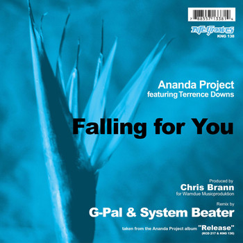 Ananda Project - Falling For You