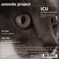 Ananda Project - ICU