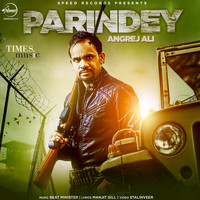 Angrej Ali - Parindey - Single