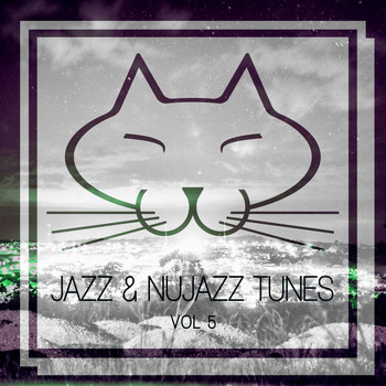 Various Artists - Jazz & Nujazz Tunes, Vol. 5