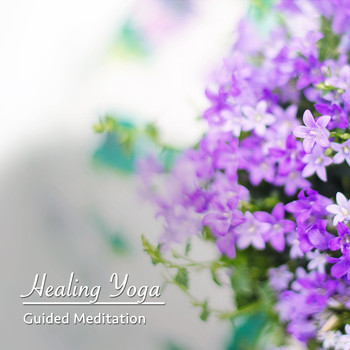 Asian Zen: Spa Music Meditation, Healing Yoga Meditation Music Consort, Zen Meditate - 13 Healing Yoga & Guided Meditation Sounds