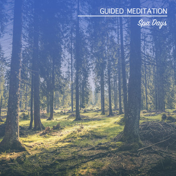 Asian Zen Spa Music Meditation, Japanese Relaxation and Meditation, Guided Meditation - 13 Idealic Songs for Guided Meditation and Spa Days