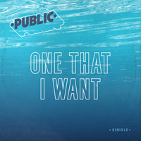 Public - One That I Want