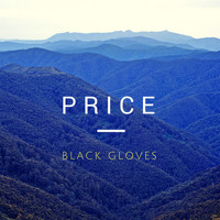 Price - Black Gloves (Explicit)