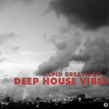 Various Artists - Deep House Vibes 3: Rapid Breathing