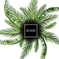 Calissimo - Under The Palm Trees