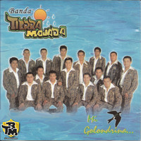 Banda Tierra Mojada - Mi Golondrina