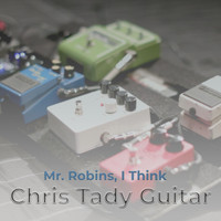 Chris Tady Guitar - Mr. Robins, I Think (Live)
