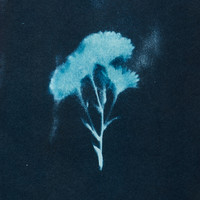 Rono - Yaadon Ka Bundergah - Single