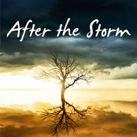 Homegrown Hero - After the Storm
