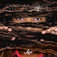 Larix - Sycamore