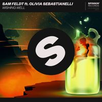 Sam Feldt - Wishing Well (feat. Olivia Sebastianelli)