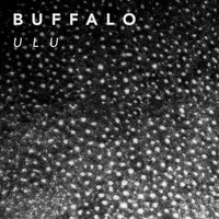 Buffalo - Ulu
