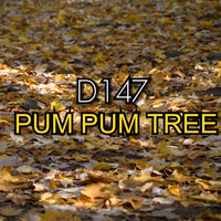 D147 / - Pum Pum Tree