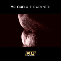 Mr. Guelo - The Air I Need