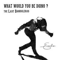 The Last Bandoleros - What Would You Be Doing?