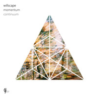 Willscape - Momentum / Continuum
