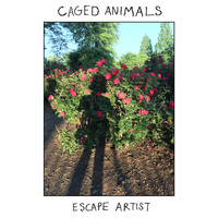 Caged Animals - Escape Artist