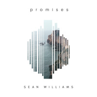 Sean Williams - Promises