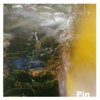 Pin - Pin - EP (Explicit)
