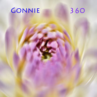 360 - Gonnie
