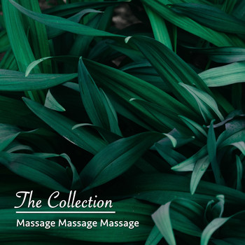 Massage Tribe, Massage, Massage Therapy Music - 13 Massage Massage Massage: The Collection
