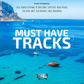 Various Artists - Must have tracks 3