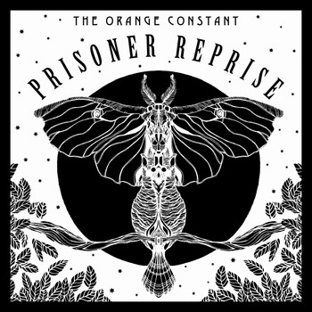 The Orange Constant - Prisoner Reprise