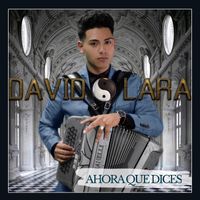 David Lara - Ahora Que Dices